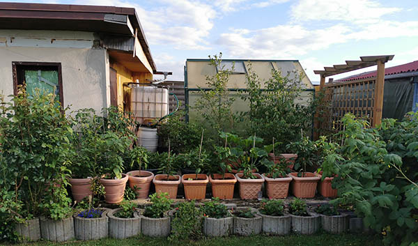 Garten