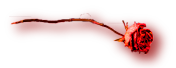 laboga